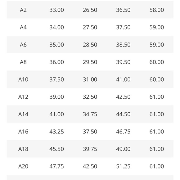 Formal Bridesmaids Dress - Picture 8 of 8